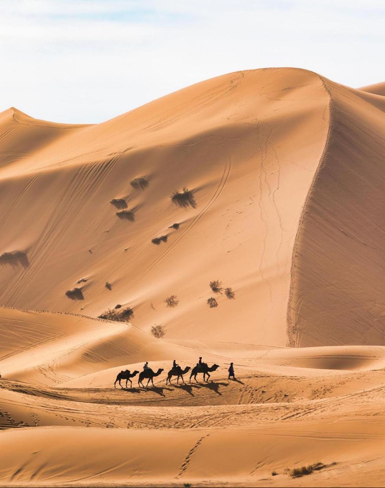 Your Berber Camp Мерзуга Екстер'єр фото